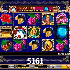 Descubra a Essência do 5161: Nossa História e Compromissos